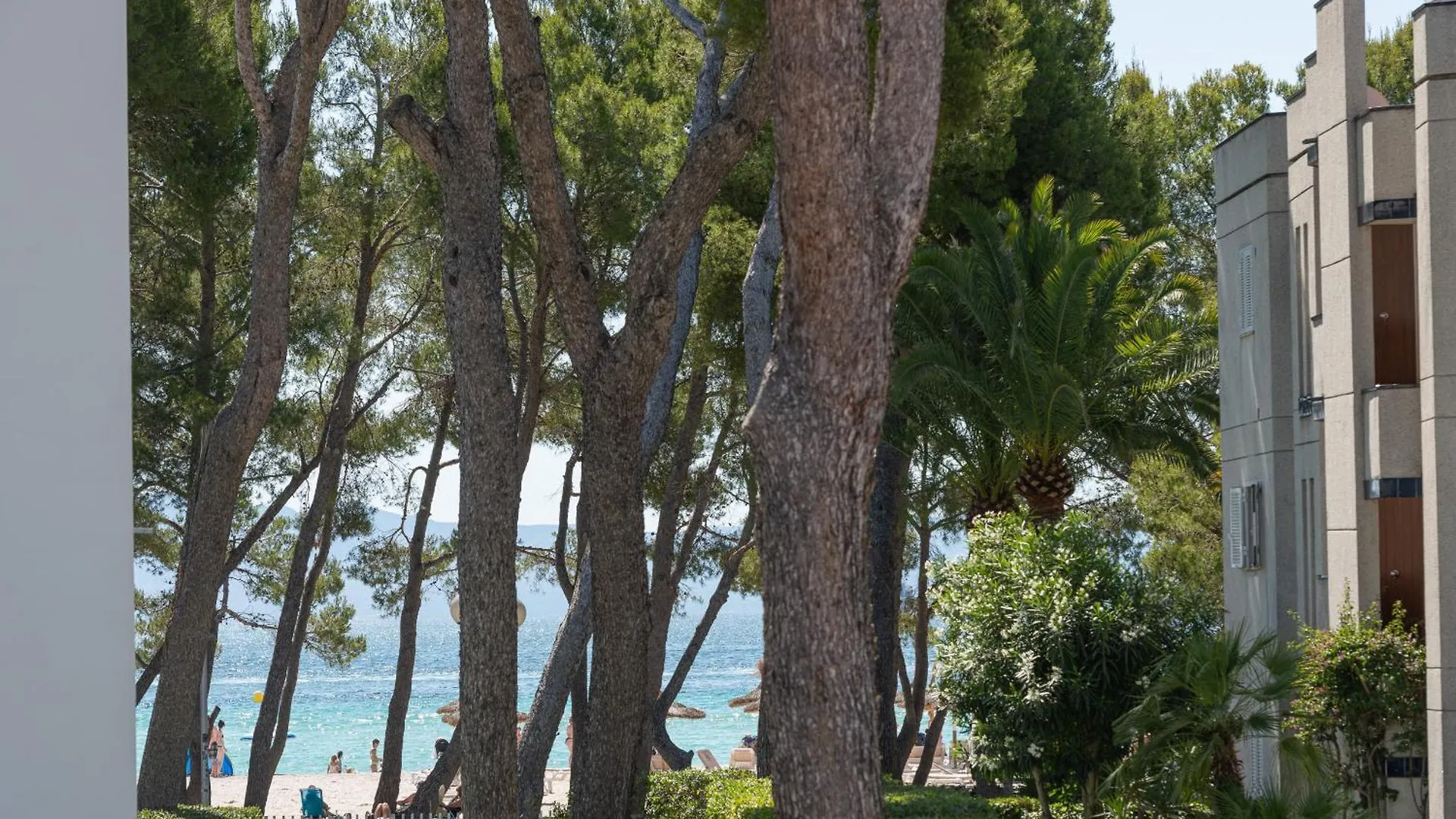 דירות אלקודיה Assimetric, A Solo 50 Metros De La Playa ספרד
