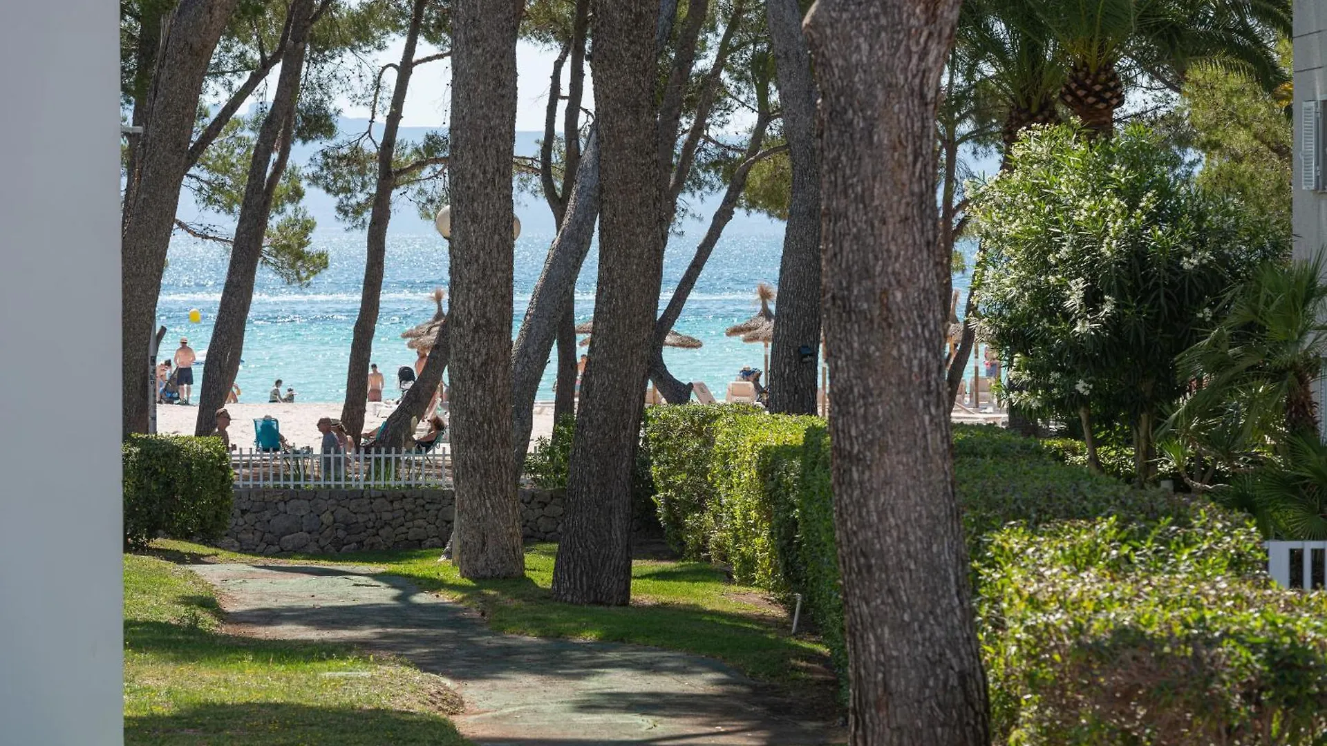 דירות אלקודיה Assimetric, A Solo 50 Metros De La Playa 0*,  ספרד