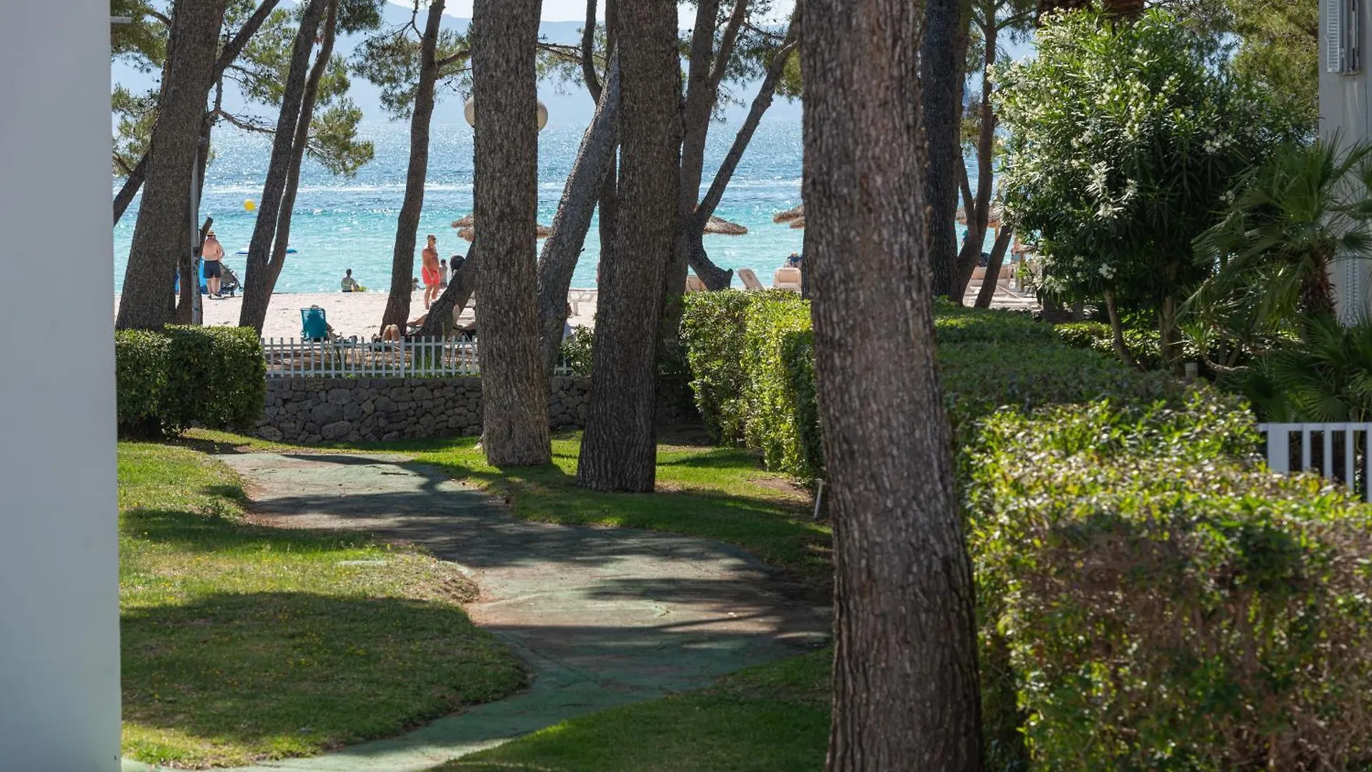 דירות אלקודיה Assimetric, A Solo 50 Metros De La Playa